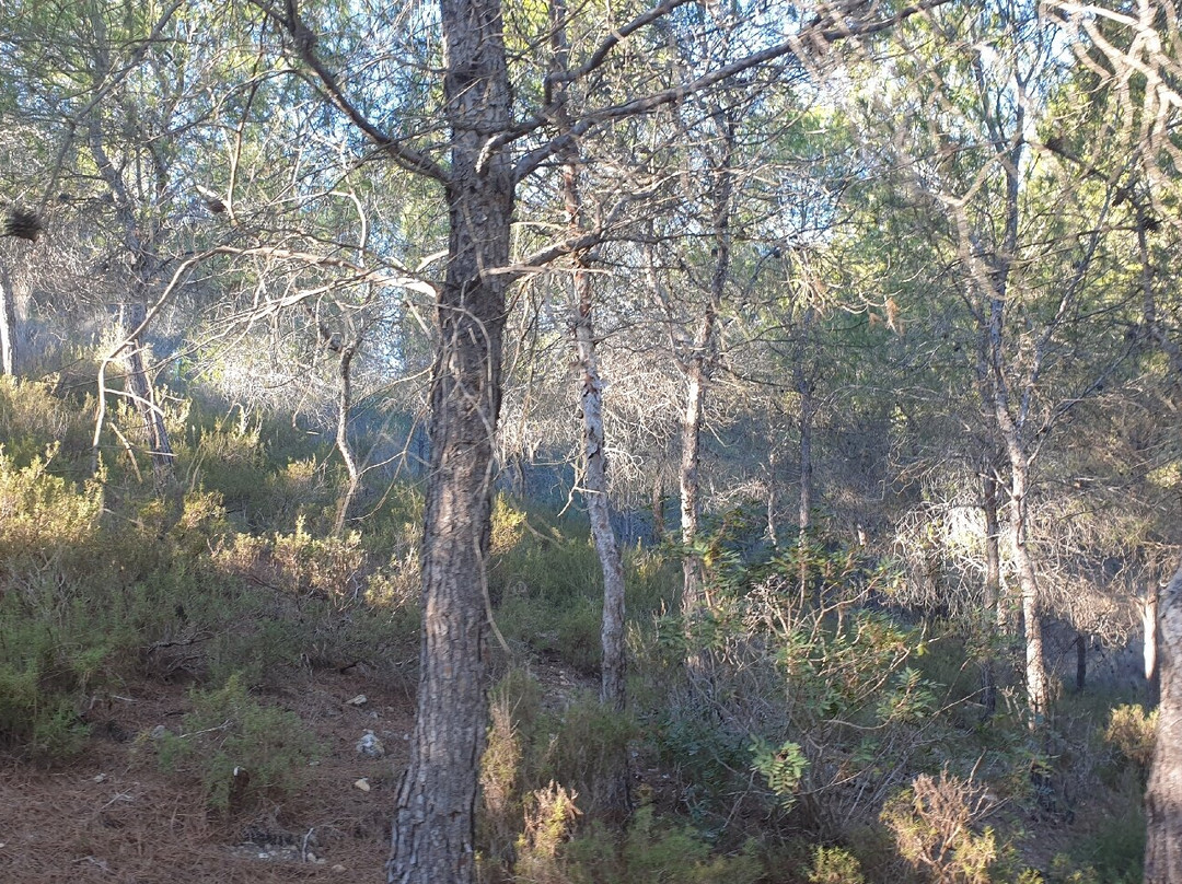 Lemon Trail Santomera-Santomera必去景点