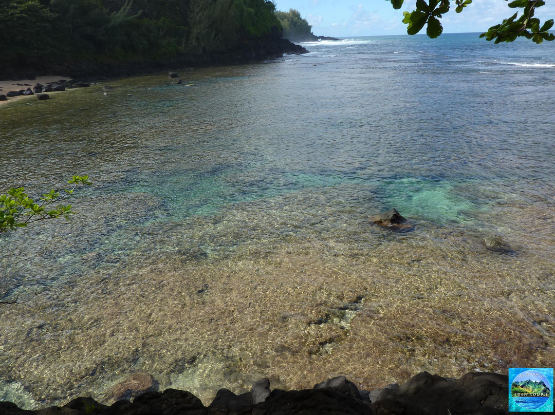 Kauai Eden Tours景点图片