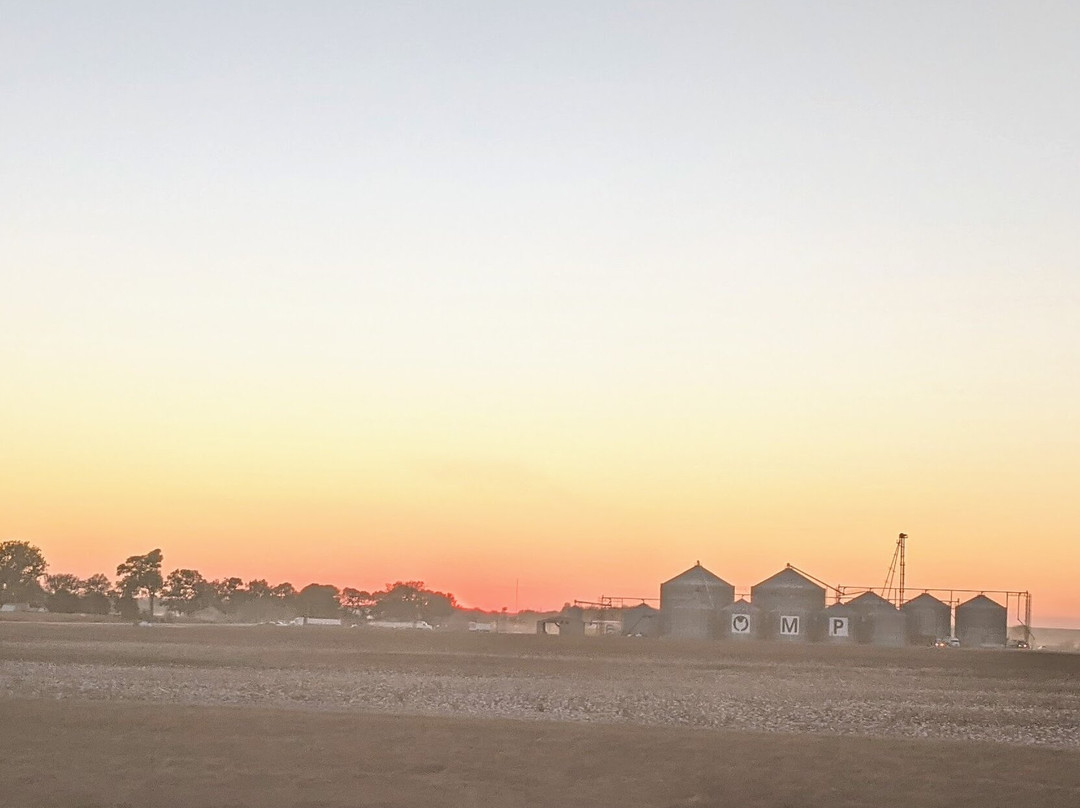 Trumann旅游攻略图片