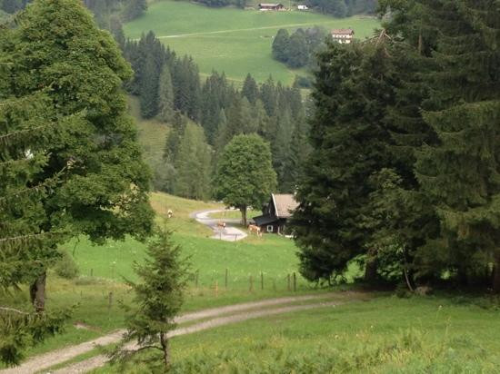 St Martin am Tennengebirge旅游攻略图片