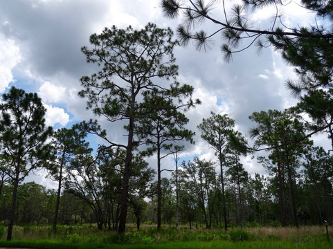 Trinity旅游攻略图片