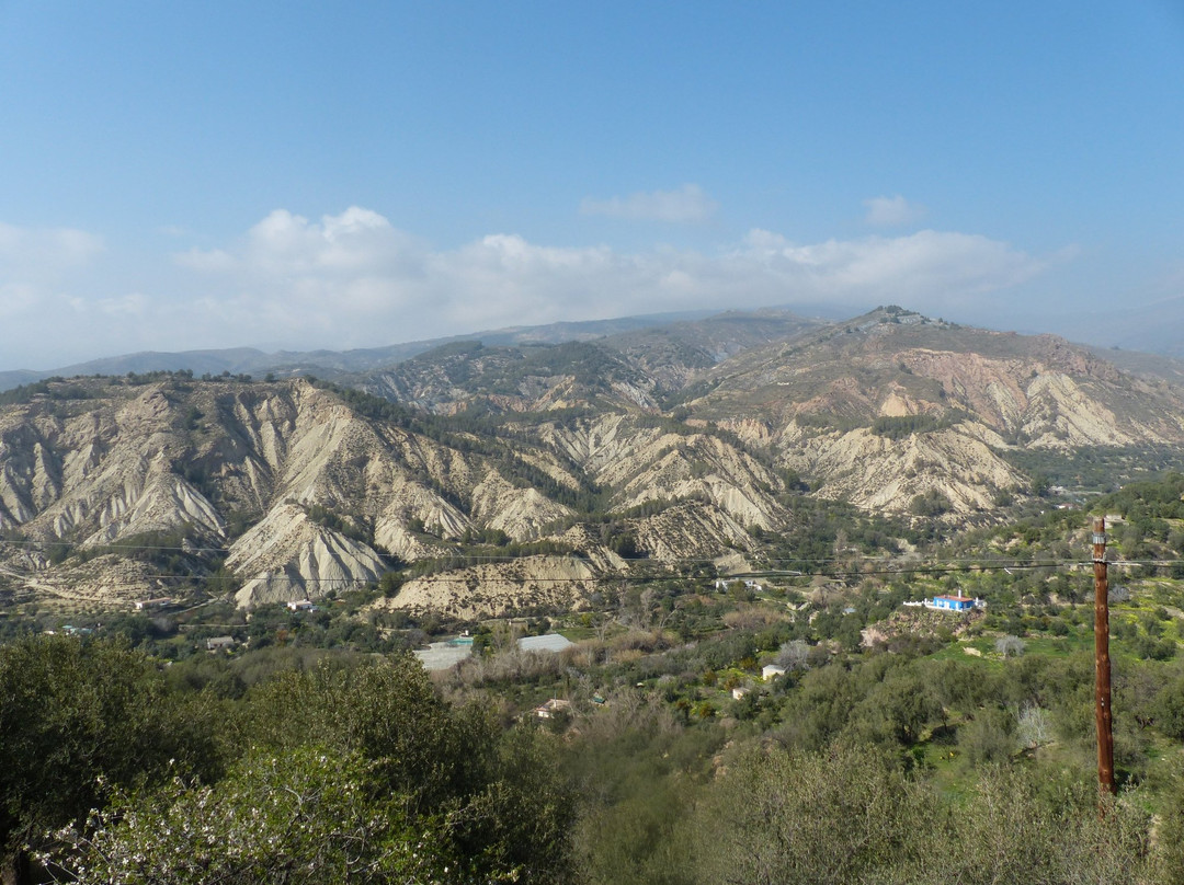 Alcolea旅游攻略图片