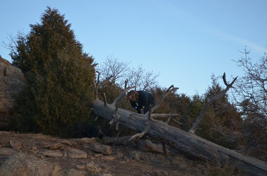 Mount Falcon Castle Trail-Morrison必去景点