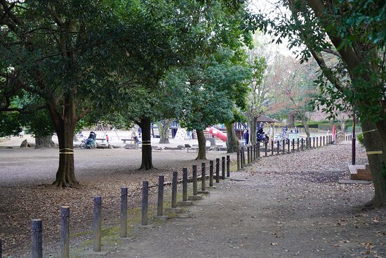 Koryo Park景点图片