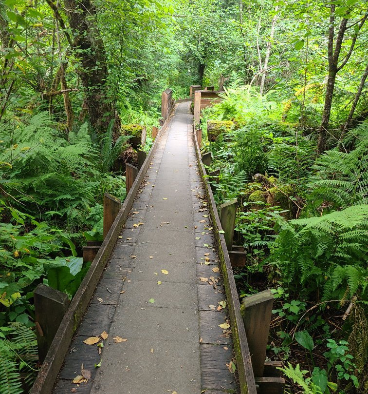 Mclane Creek Nature Trail景点图片