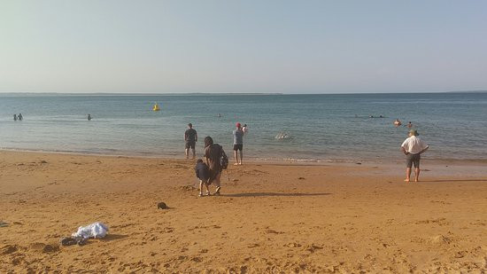 Cowes Beach景点图片