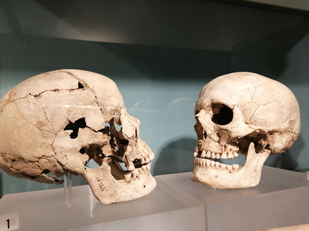 National Archaeological Museum景点图片