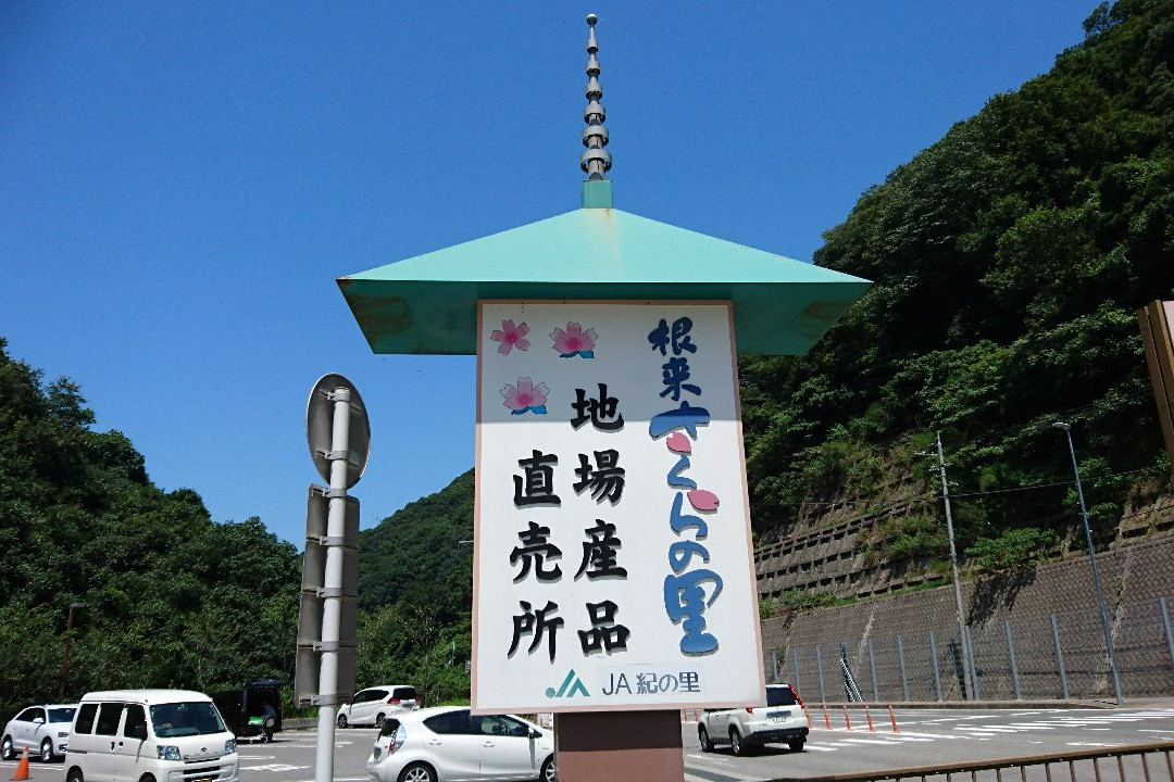 Michi no Eki Negoro Sakuranosato