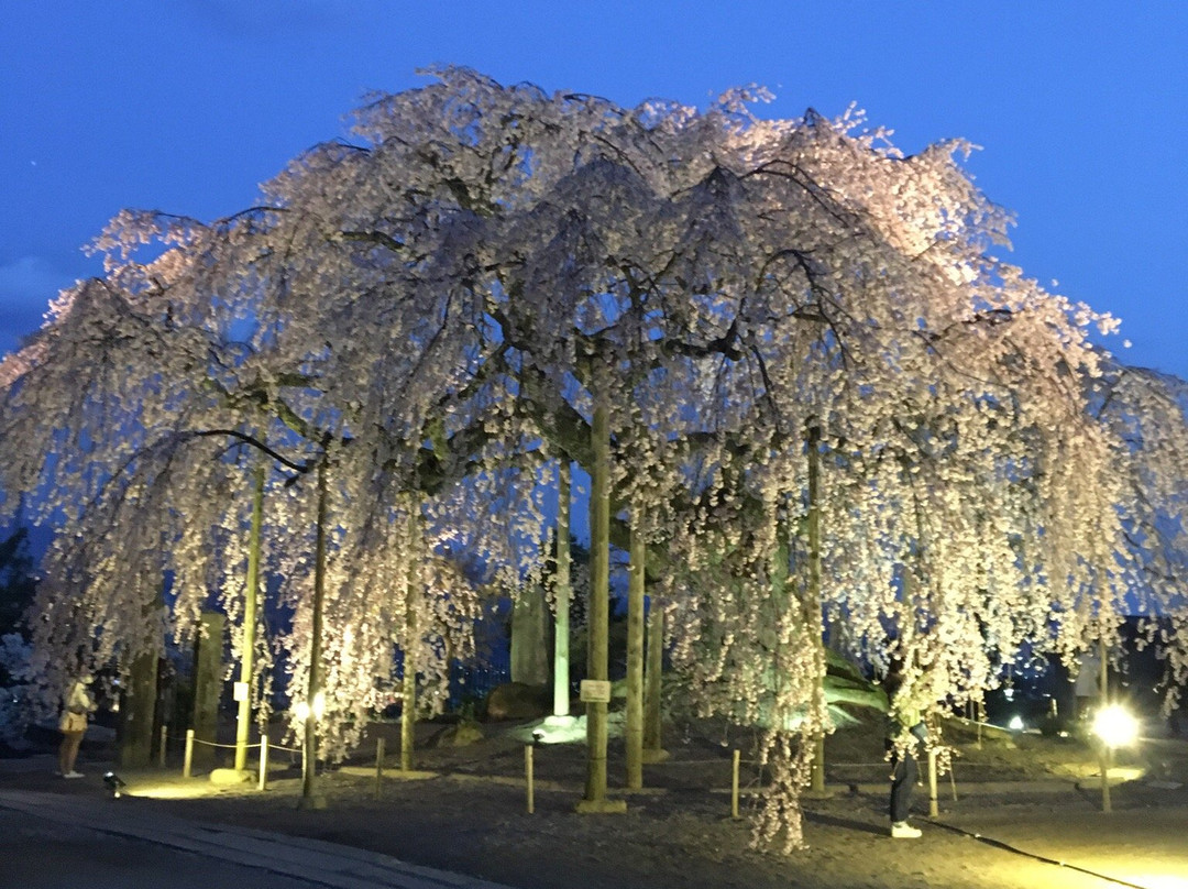 Omi no Sato Koryu Center景点图片