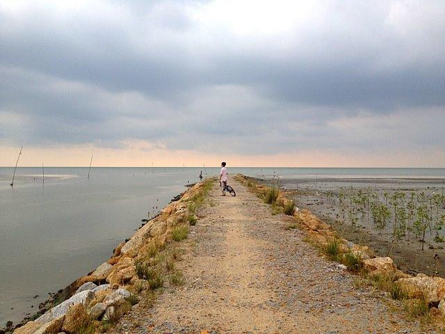 Explore Balik Pulau景点图片