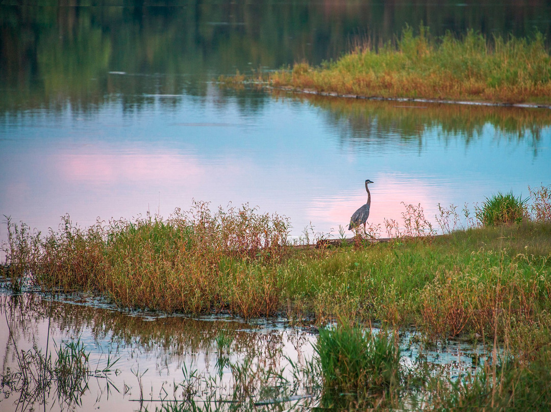 西得梅因旅游攻略图片