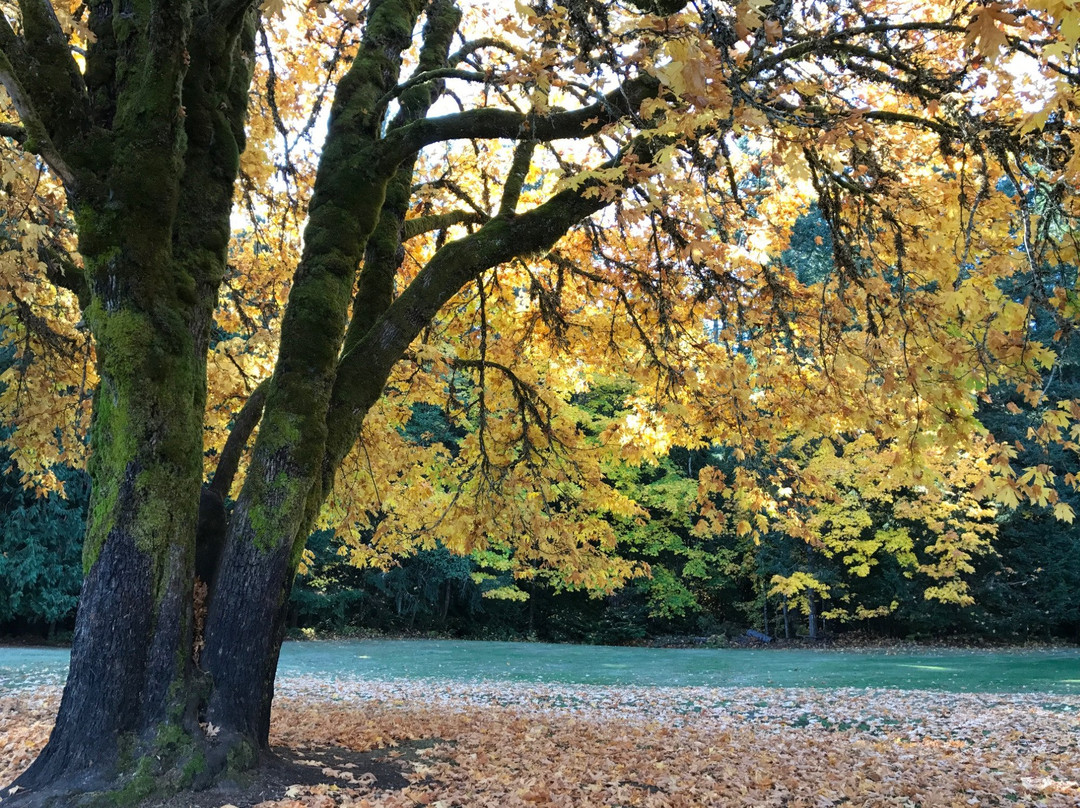 West Shawnigan Lake Provincial Park景点图片