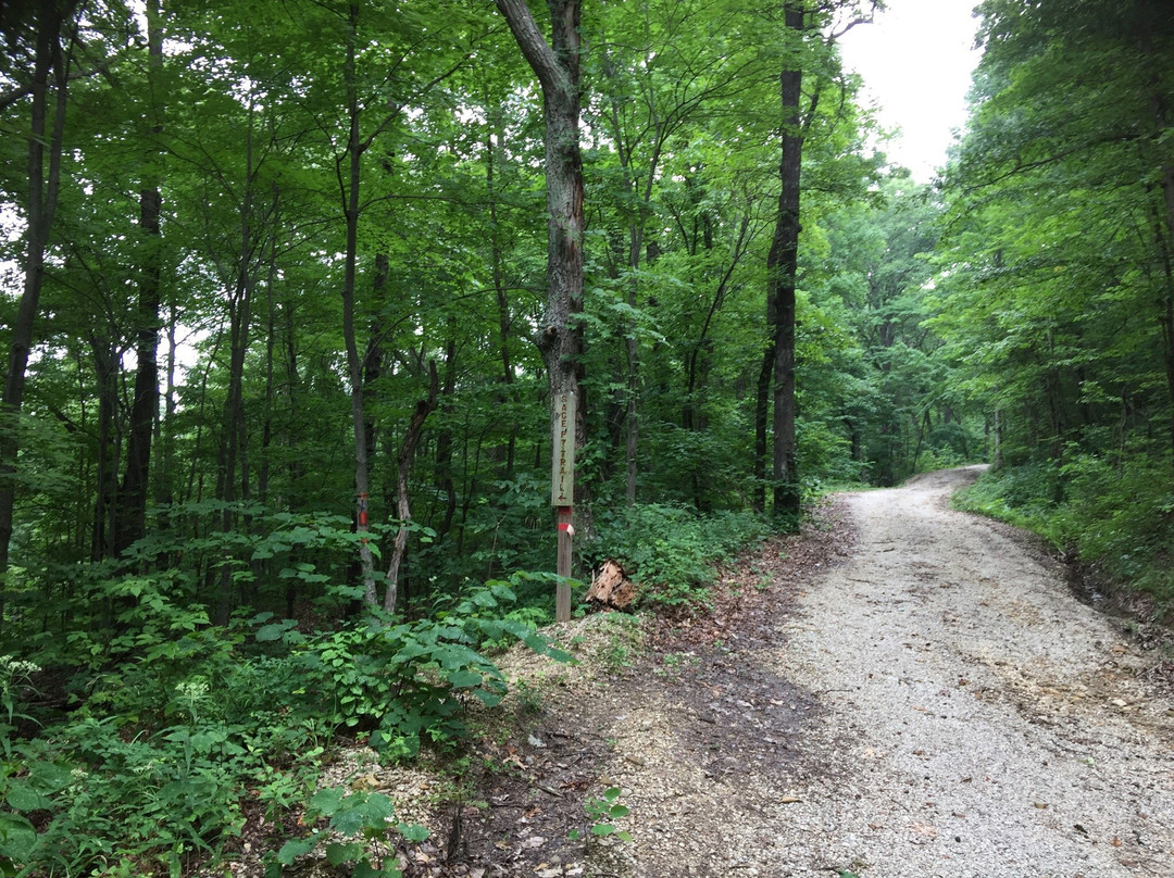 Pilot Knob Nature Preserve-Clay City必去景点