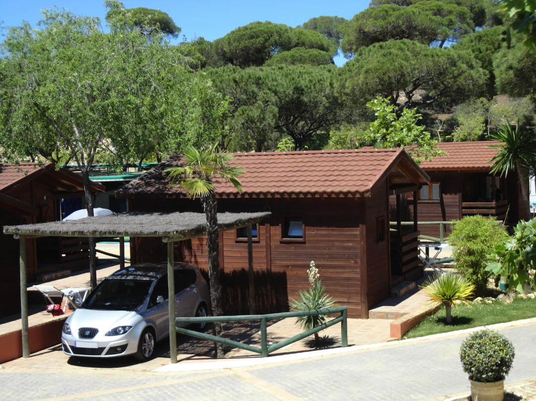 Camping Playa La Bota