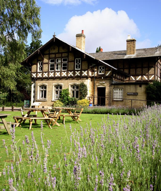 RSPB The Lodge Nature Reserve景点图片