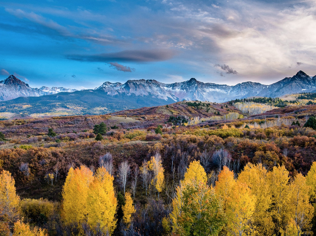 Elan Wollitzer Gallery-斯科茨代尔必去景点