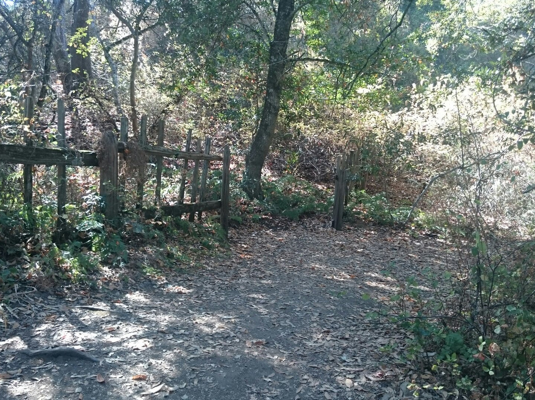 San Andreas Fault Trail