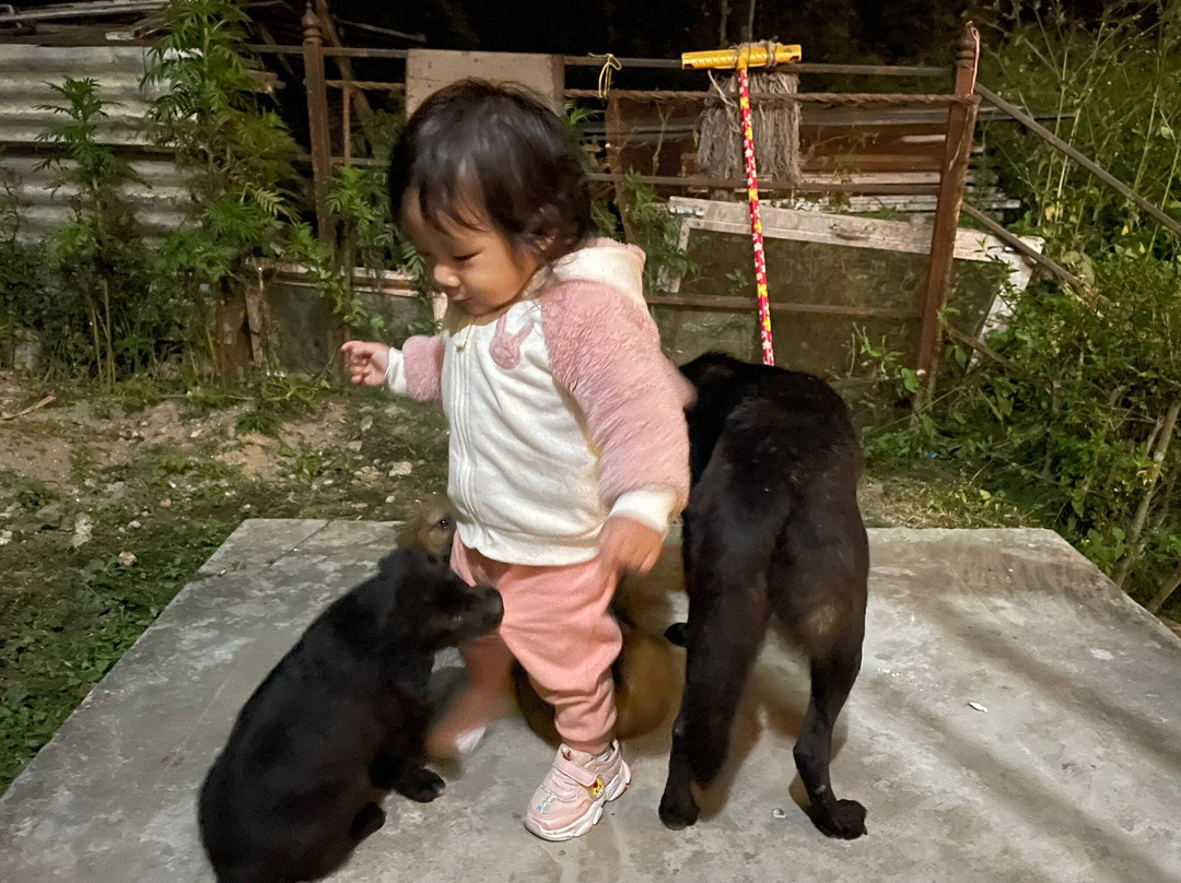 Hotel Mount Everest Nagarkot