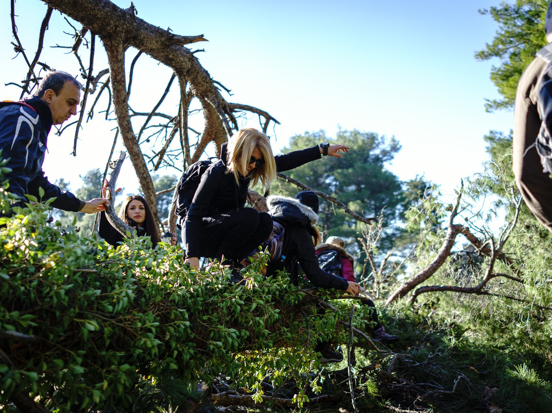 Dasoktima Tatoiou-Acharnes必去景点