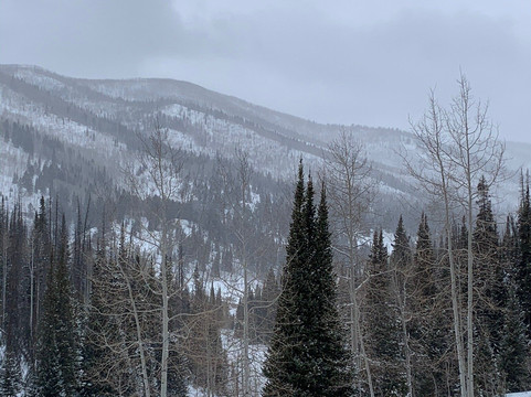 Lofty Peaks Adventures LLC-希伯城必去景点