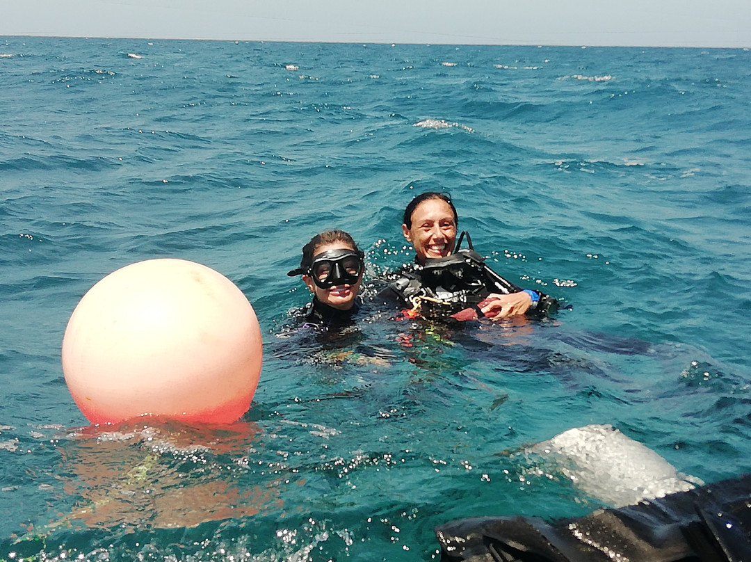 Rincón Dive Center-Rincon del Mar必去景点