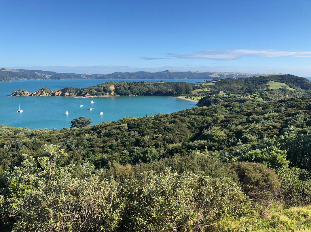 Rotoroa Island-奥克兰必去景点