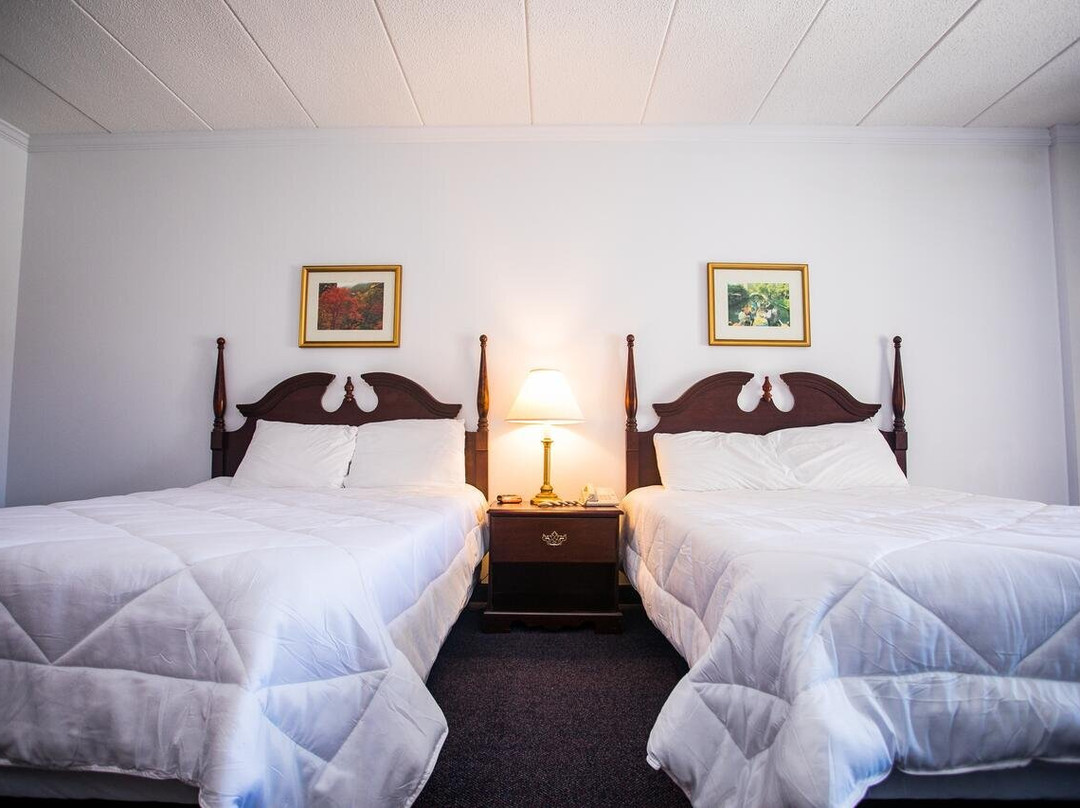 Staybridge Suites Rehoboth Beach by IHG主图