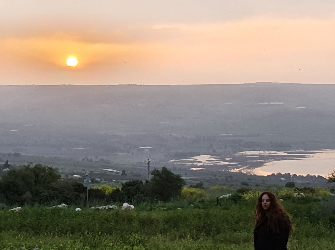 Vered Hagalil Holiday Village Hotel主图