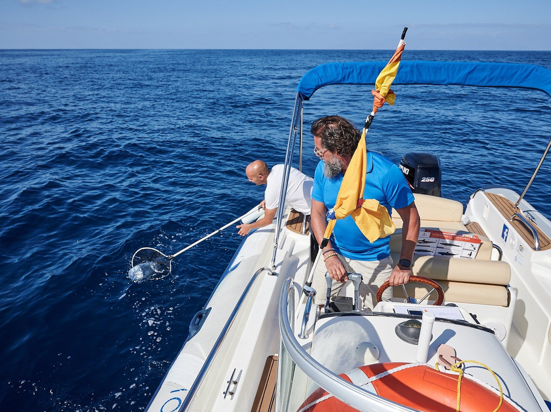 Atlantic Eco Experience | Whale Watching Tenerife-奥德杰海岸必去景点