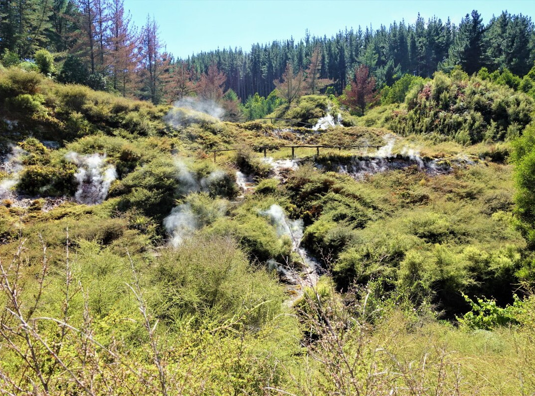 怀拉基天然温泉谷景点图片