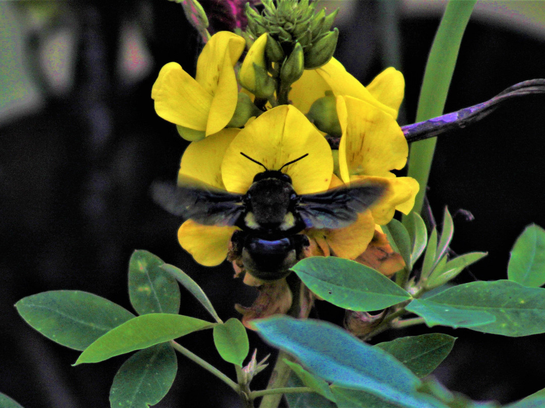 Pousada Salto Sete主图