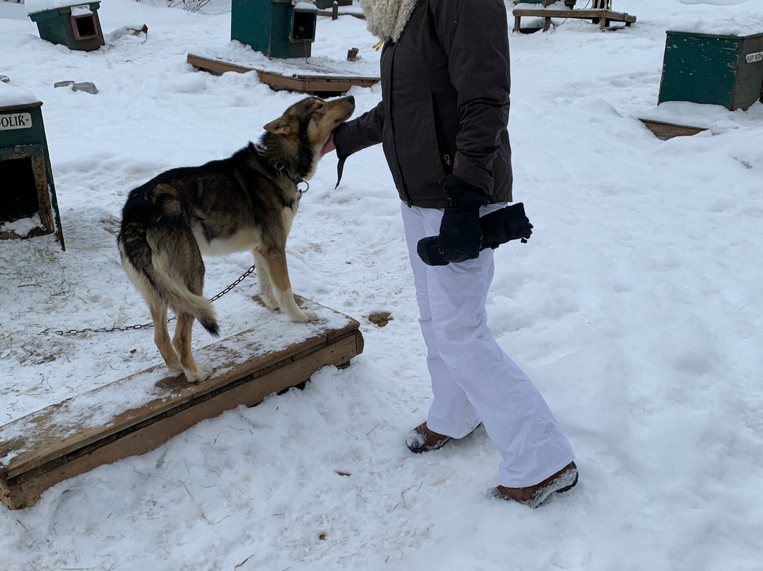Muddy Paw Sled Dog Kennel-Jefferson必去景点
