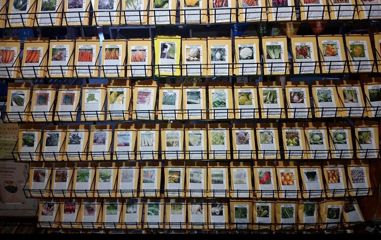 Seppenfelts-德洛兰恩必去景点