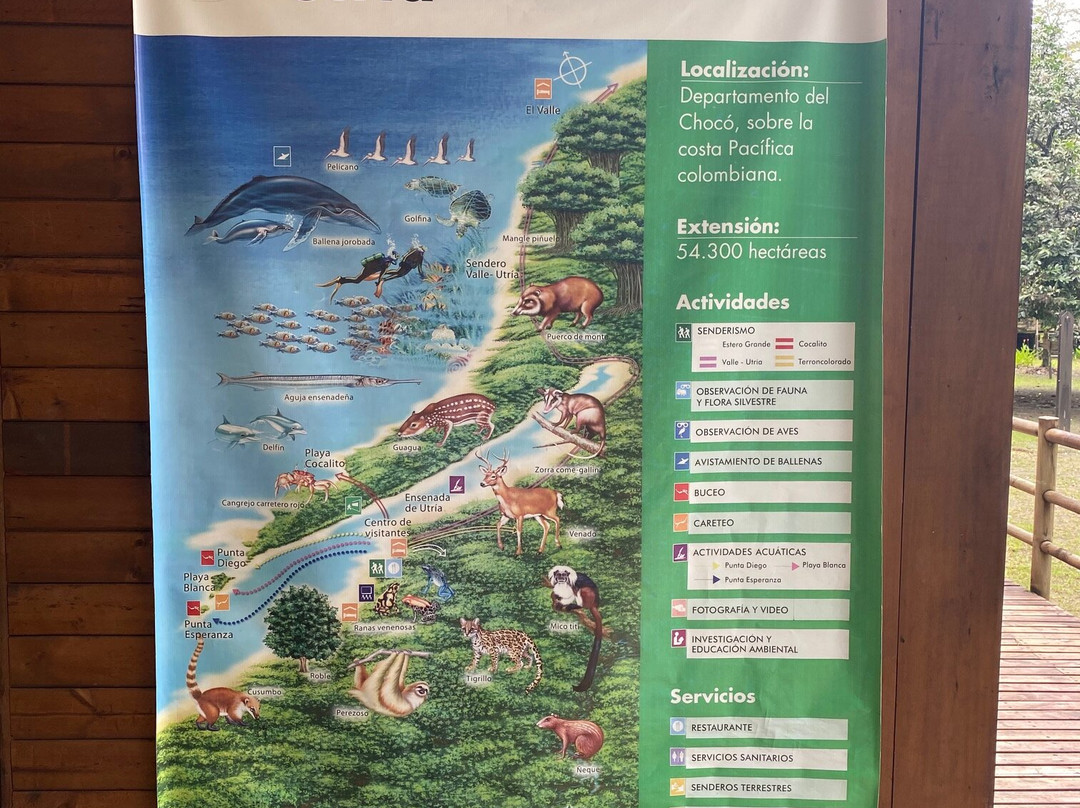 Parque Nacional Natural Utria-Nuqui必去景点