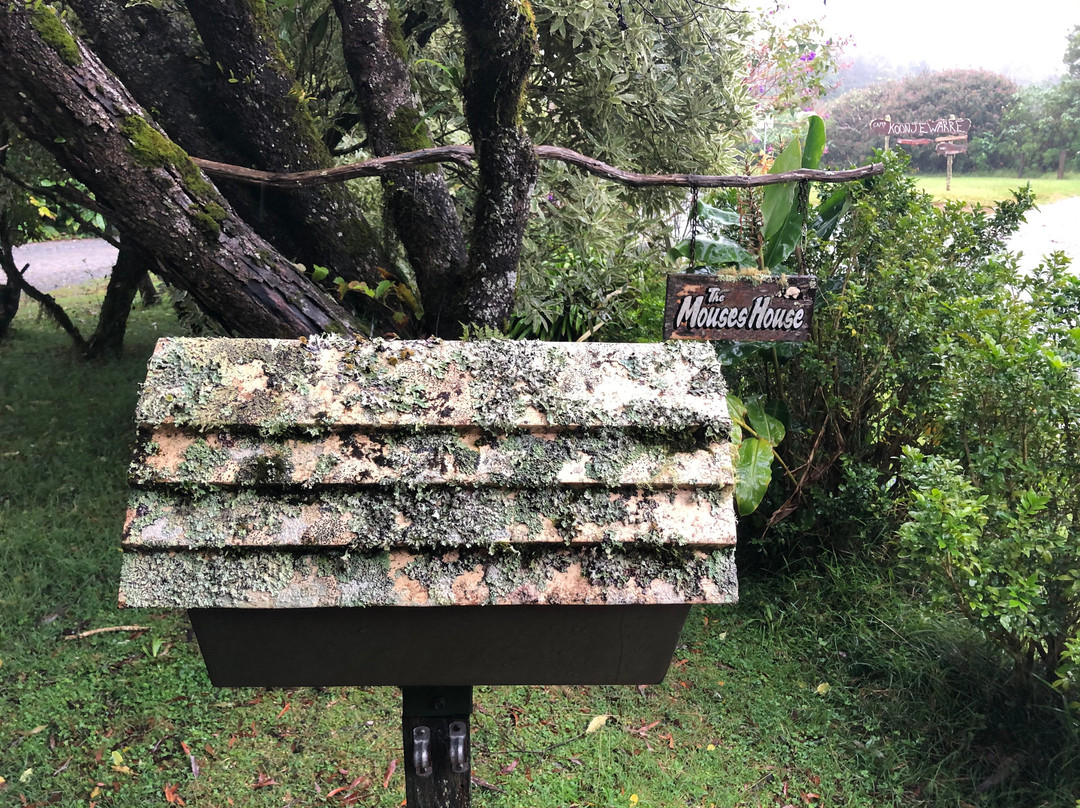 茅斯热带雨林度假村主图