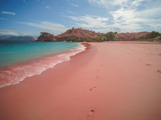 Komodo Wisata Tours & Travel