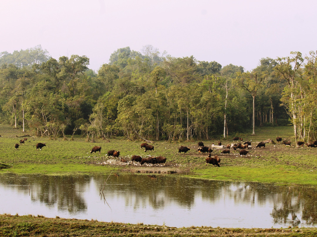 Panjhora River景点图片