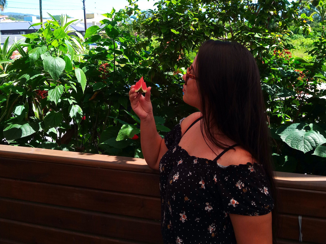 Pousada Do Sol Garopaba主图