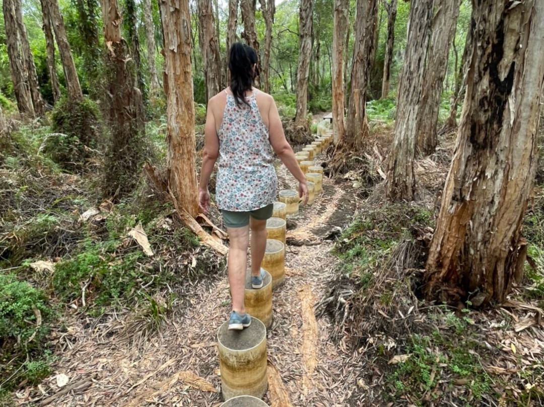 Paperbark Forest Walk-Agnes Water必去景点