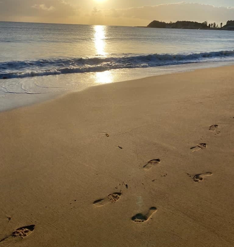 The Clan Terrigal主图