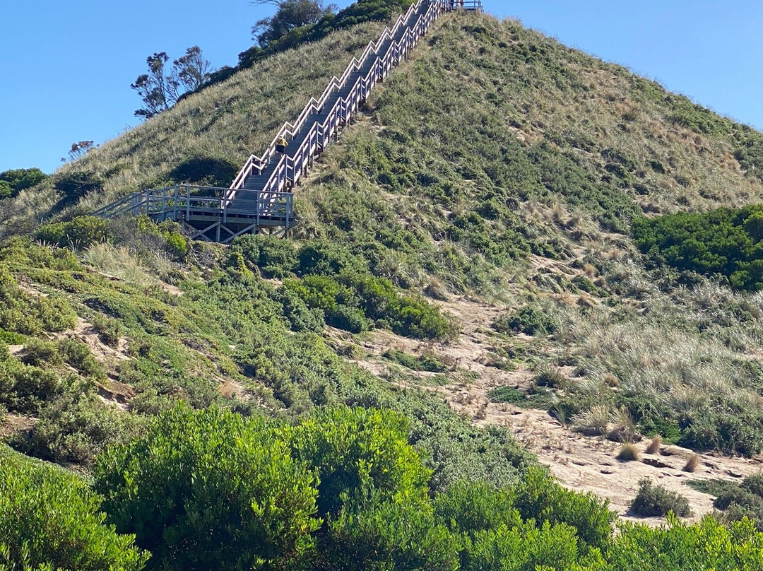 Bruny Island Neck Game Reserve景点图片