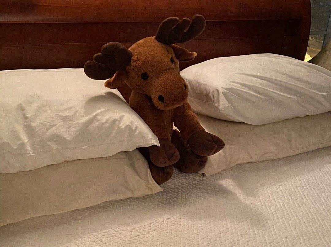 The Wilderness Inn Bed and Breakfast主图