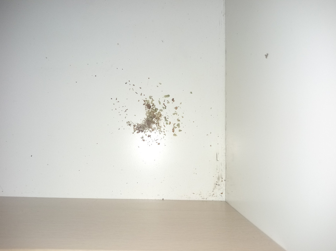 City Quarters on Brewer主图