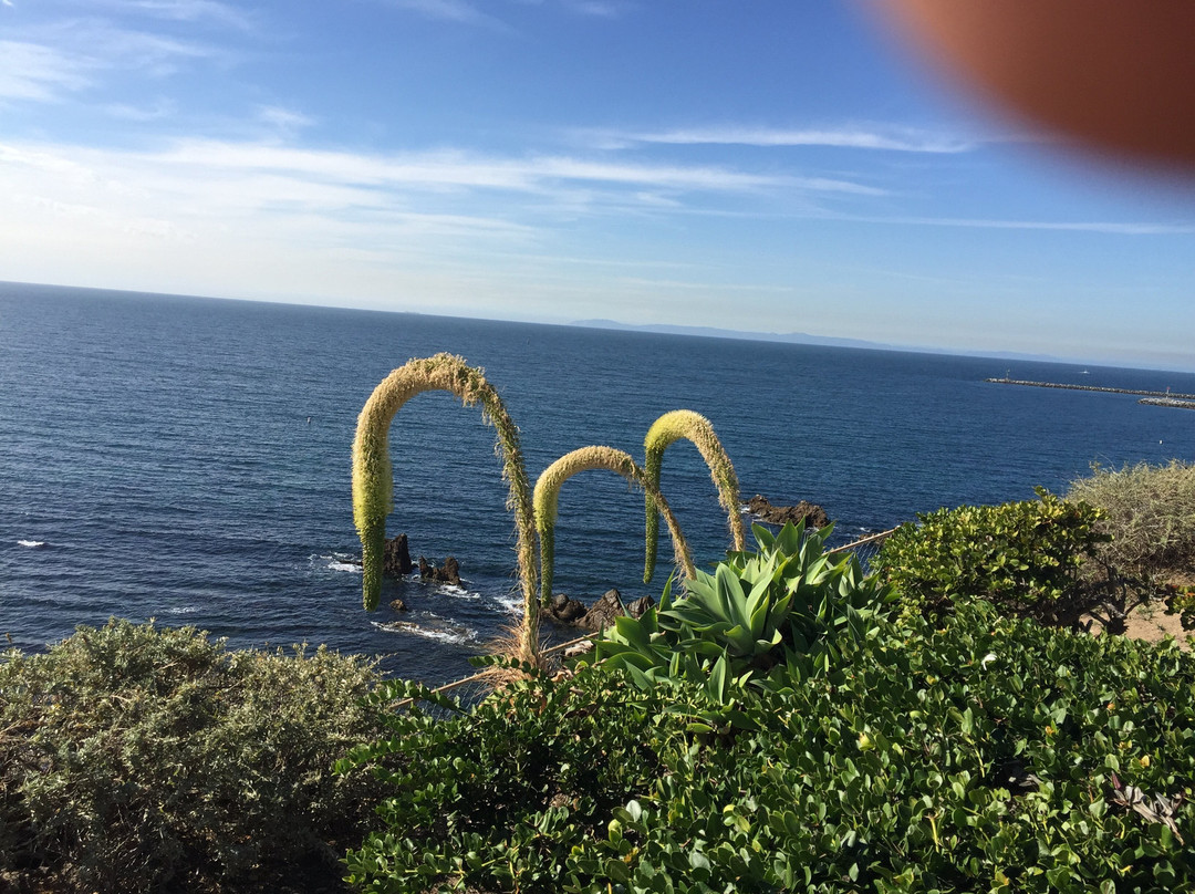 Little Corona Beach-科罗纳戴尔马尔必去景点