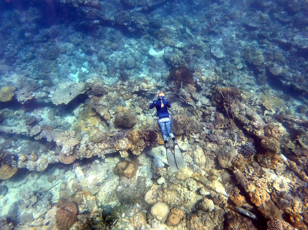 Freedive Christmas Island-圣诞岛必去景点