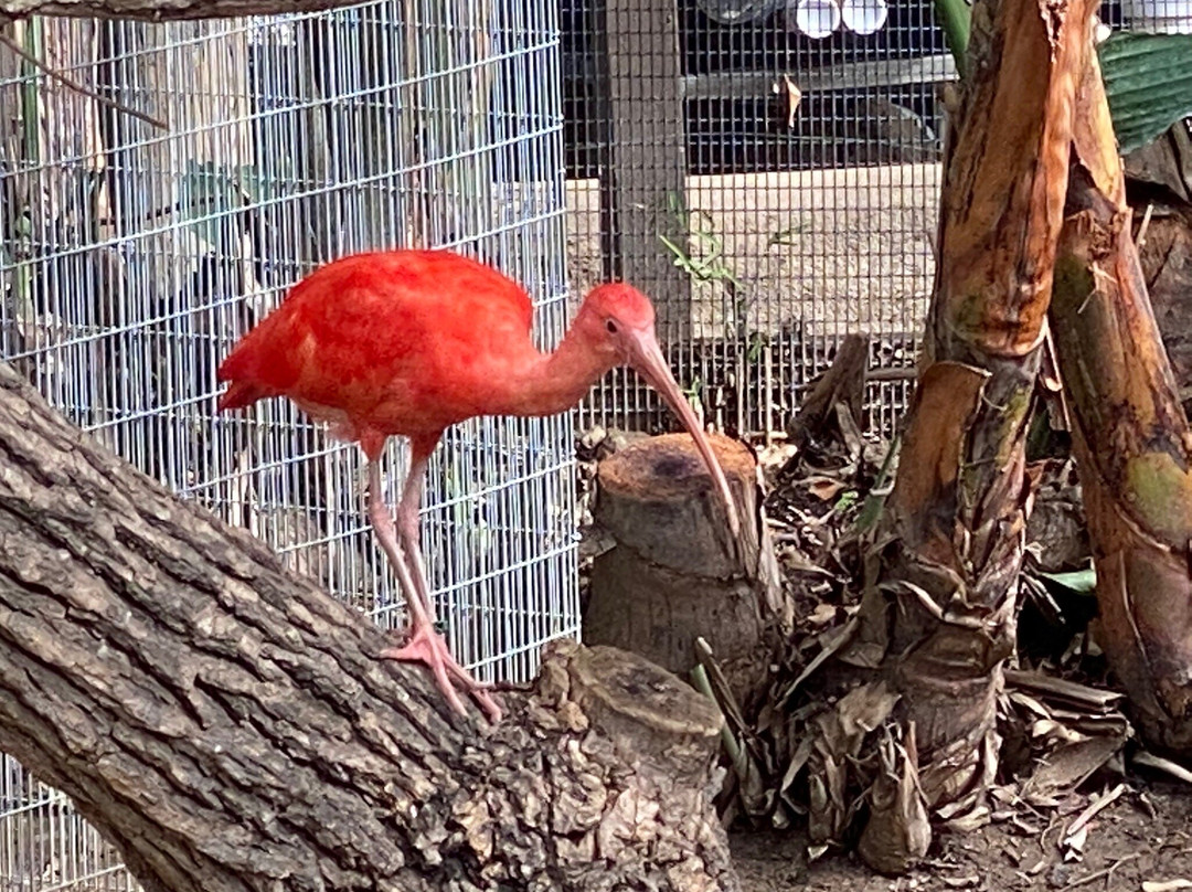 Santa Ana Zoo at Prentice Park-圣安娜必去景点