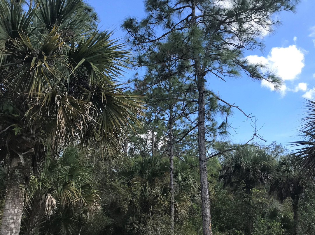 美洲狮国家野生动物保护区-Immokalee必去景点