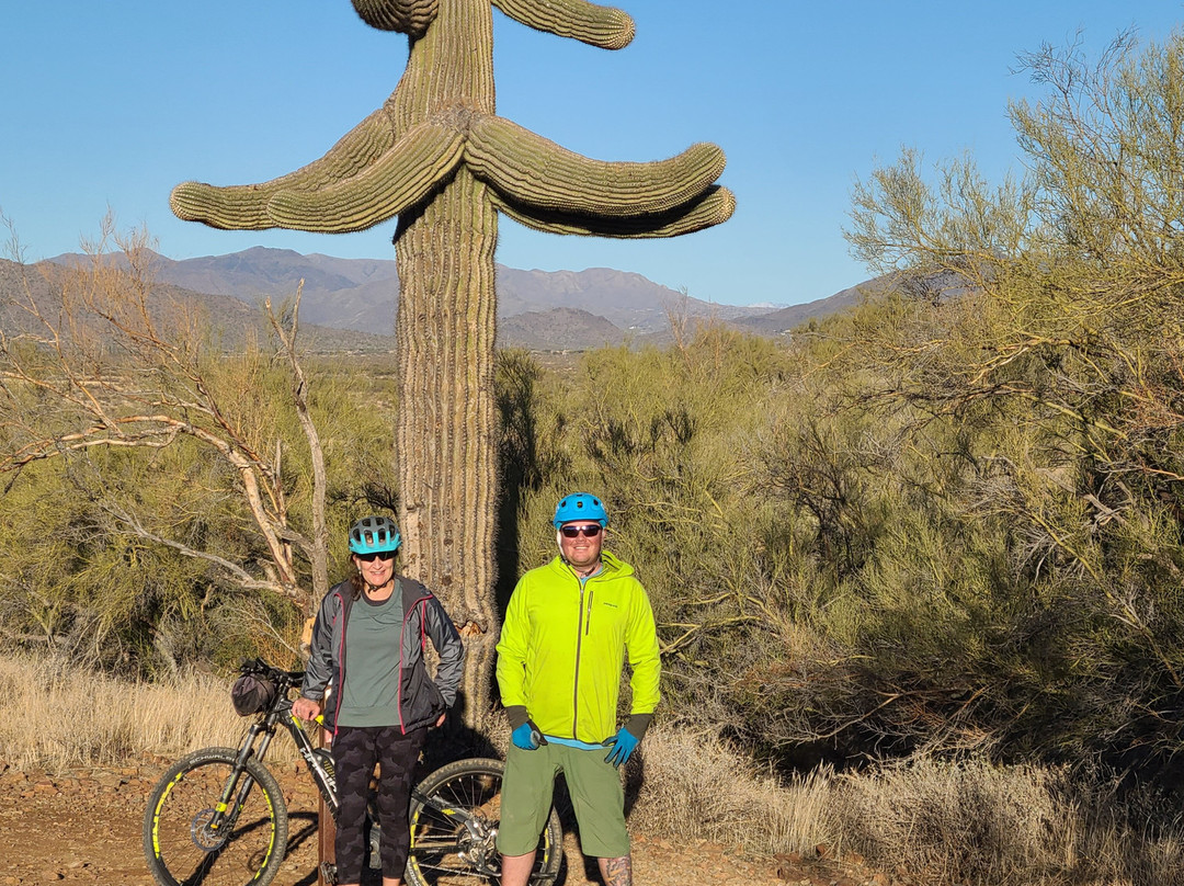 Journey Rides-斯廷博特斯普林斯必去景点