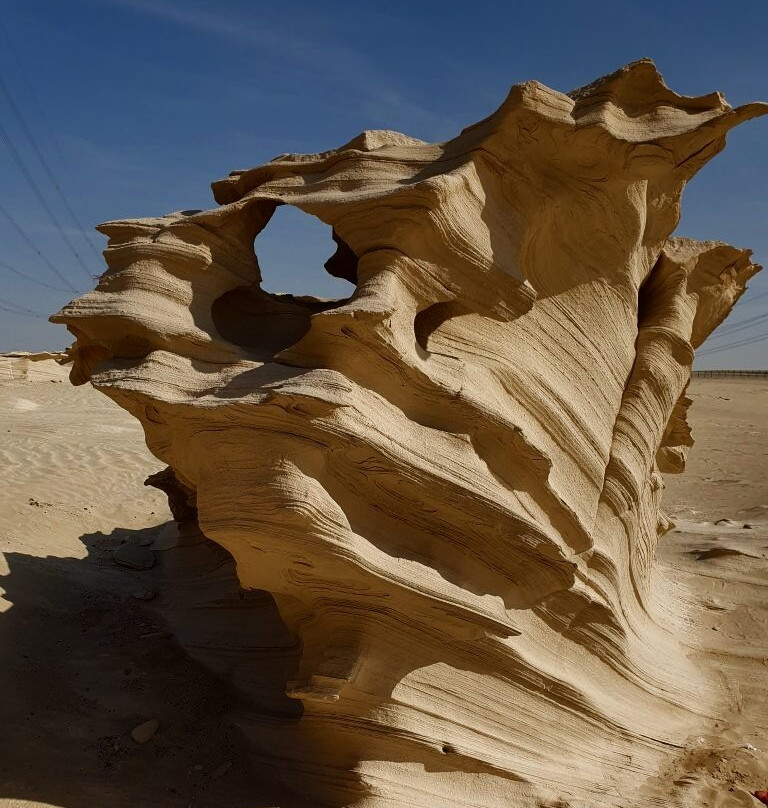 Al Wathba Wetland Reserve景点图片