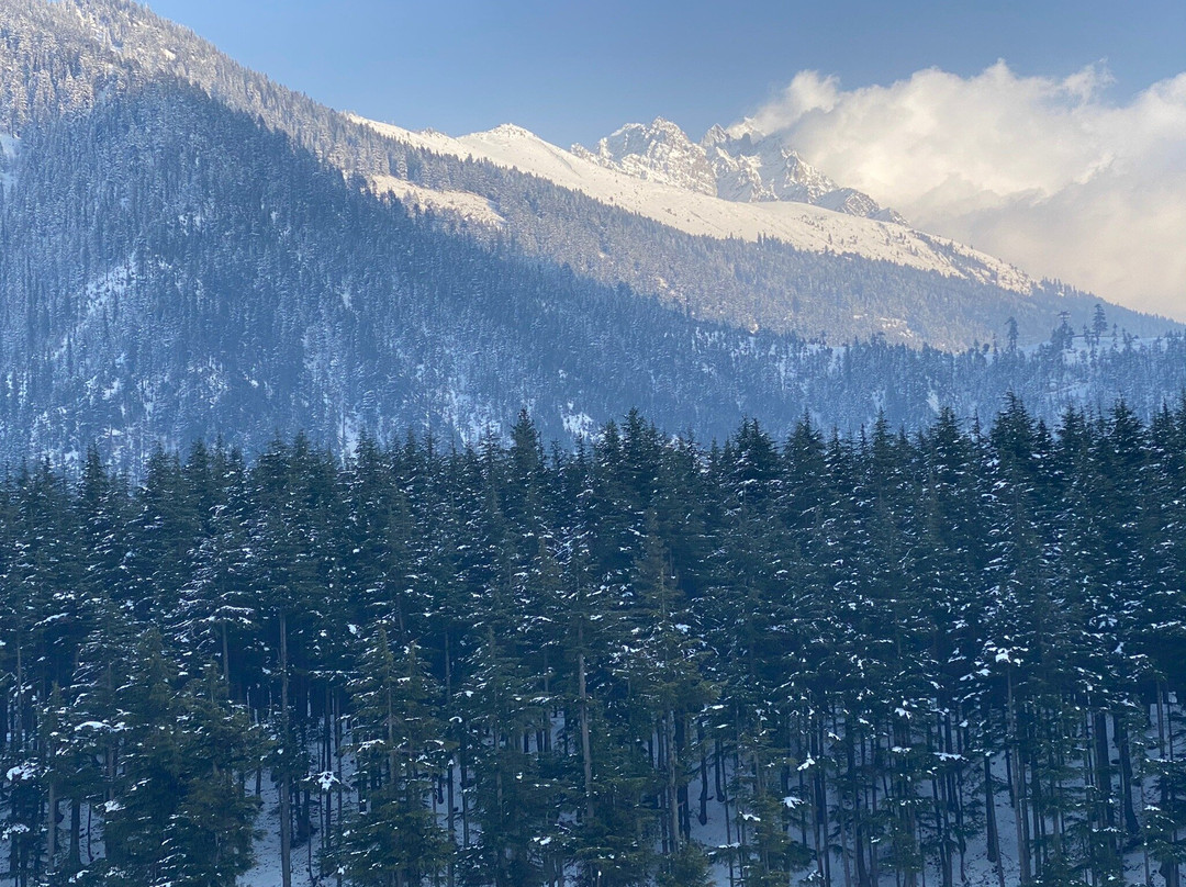 Kalam Forest-Kalam必去景点